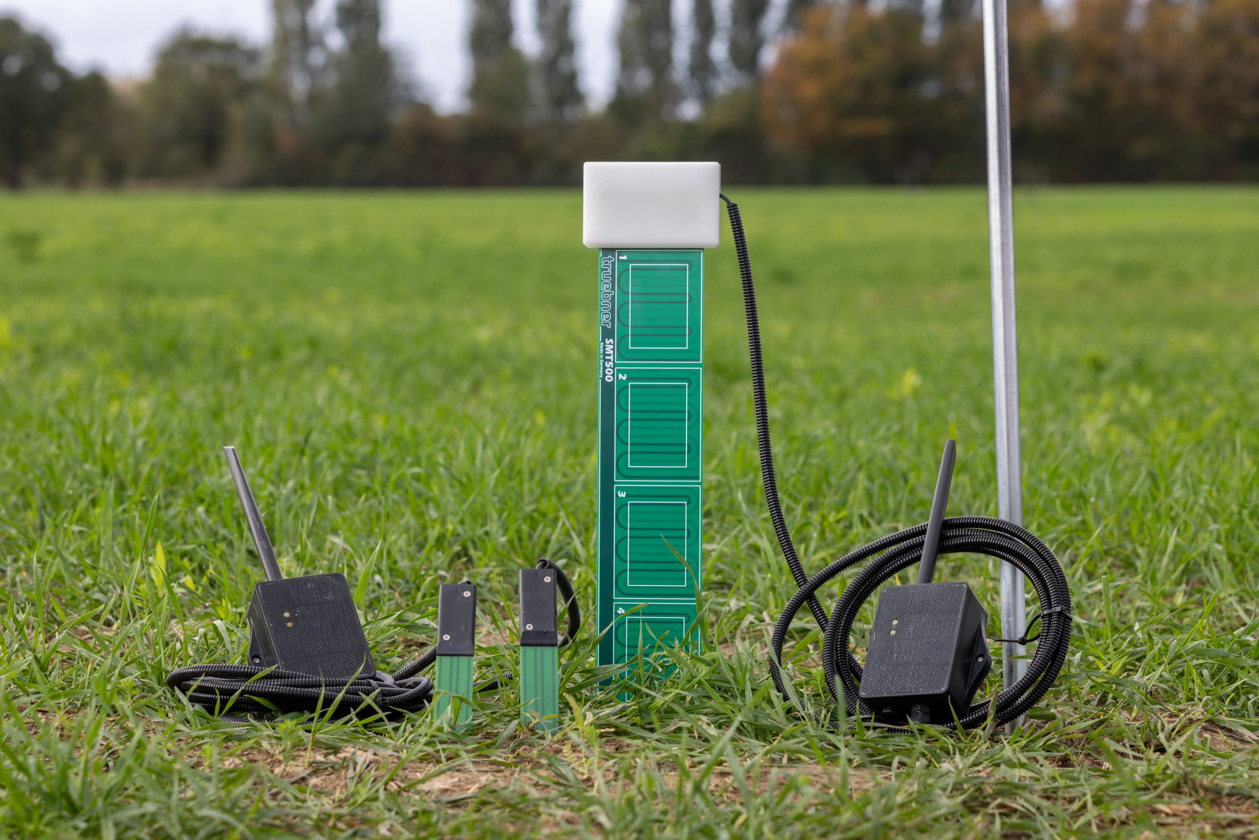 Landschaft mit einem Kartoffelacker bei blauem Himmel